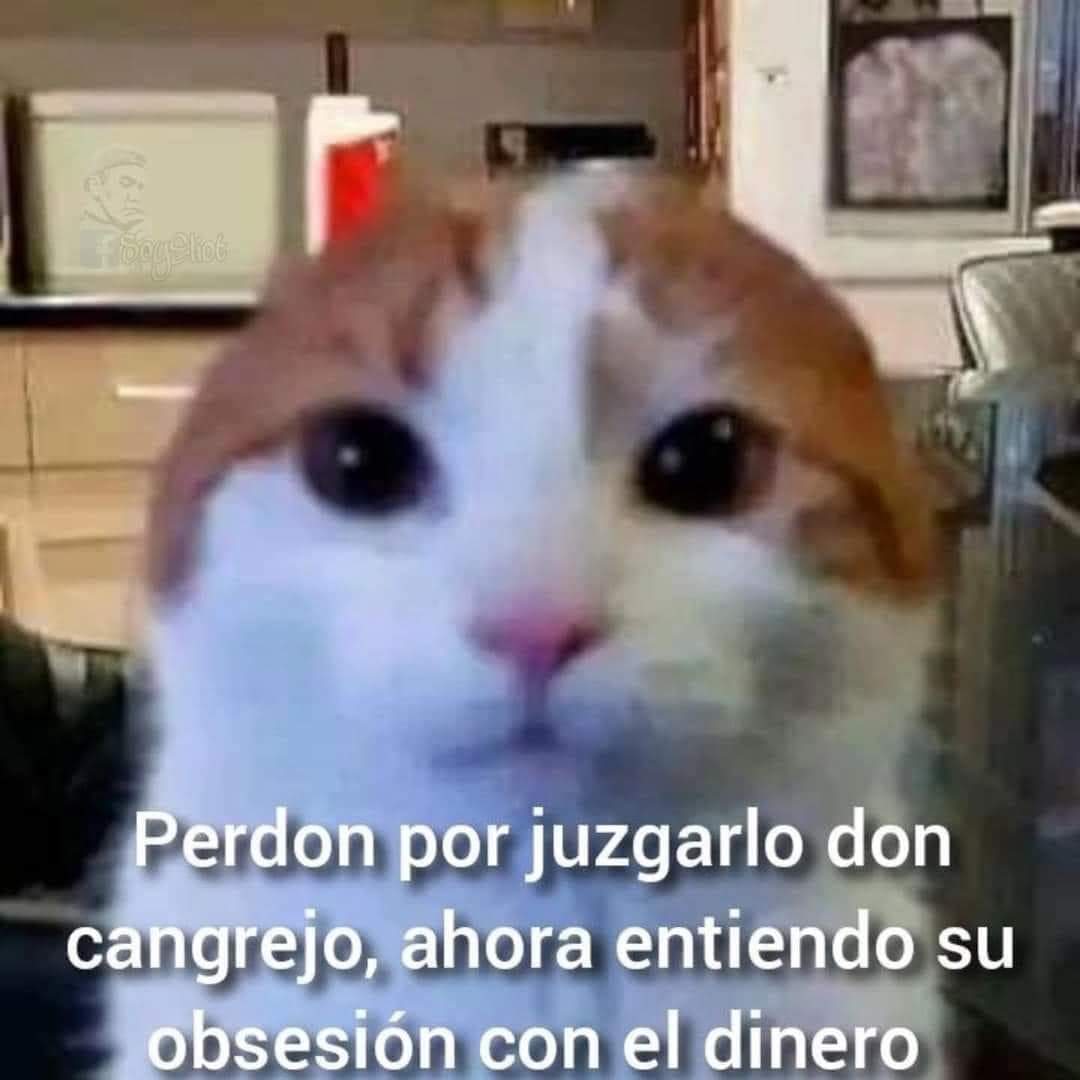 En Júpiter (@en_jupiter_) on Twitter photo 