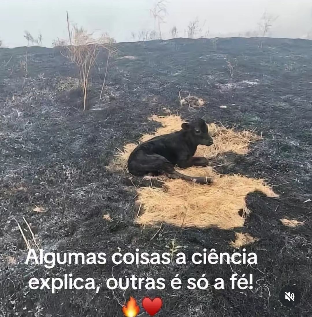 Fernando ᶜʳᶠ ☭ ♿ tweet media