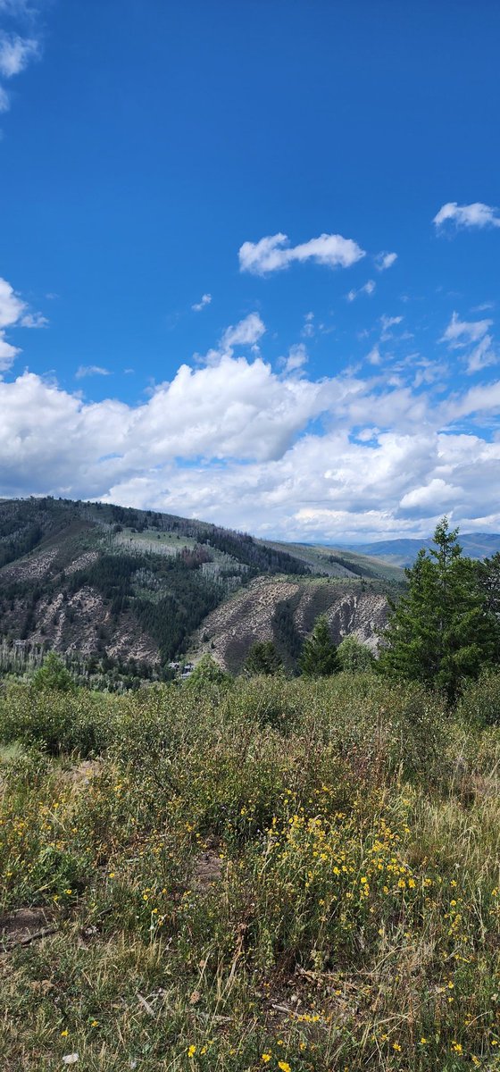Vail mountain bike riding!