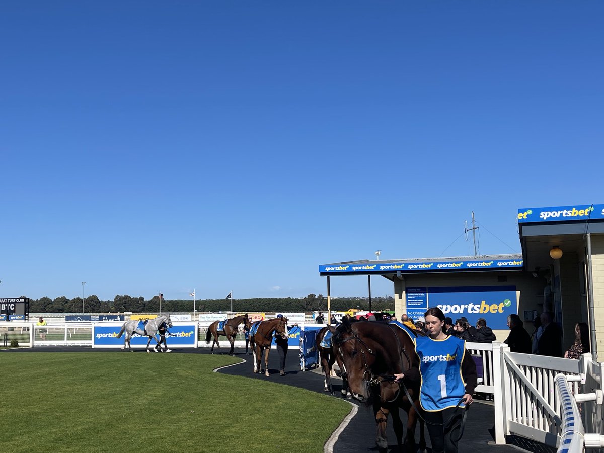 1000giggles's tweet image. Getting ready for the first on #EcycleSolutions #GrandNationalJumpsDay ⁦@BallTurfClub⁩ ⁦@Country_Racing⁩ ⁦@RacingVictoria⁩ Good luck to all #OwnersConnections