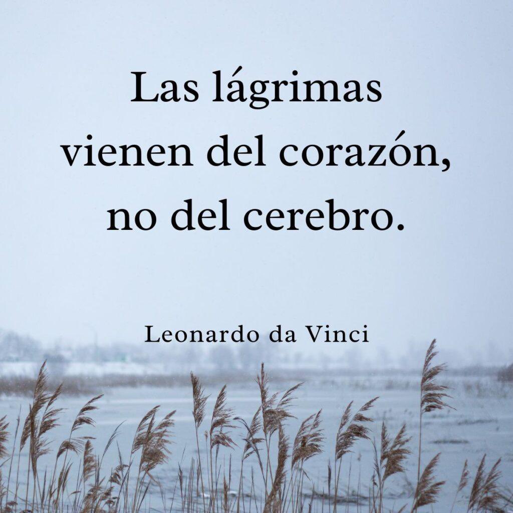 arceandrea's tweet photo. ❤️‍🩹 https://t.co/L8BOGa8Tlt