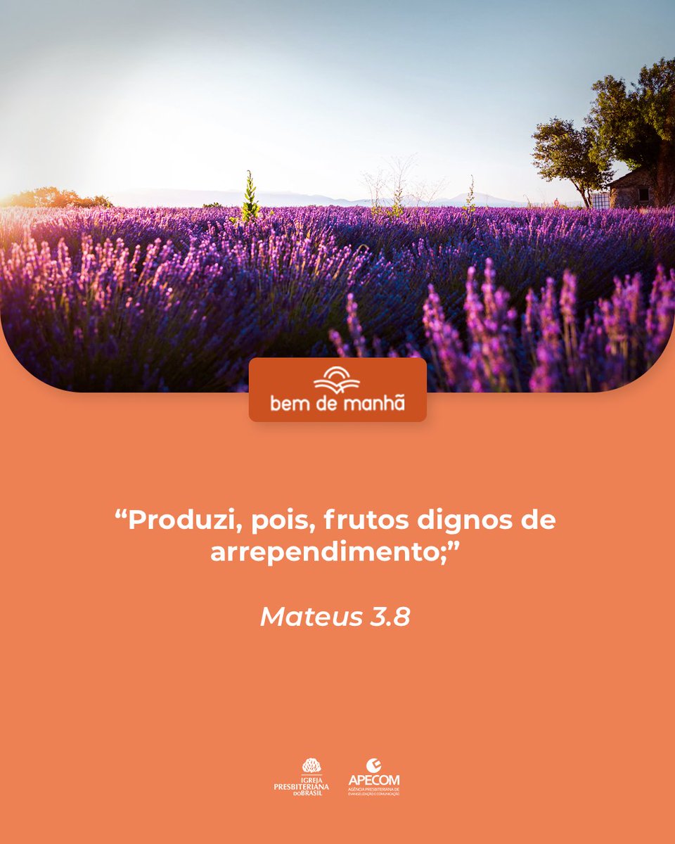ipboficial's tweet photo. Bem de Manhã: Comece o dia meditando na sabedoria de Deus.

“Produzi, pois, frutos dignos de arrependimento;”

Mateus 3.8 https://t.co/XlZyPJTY8c