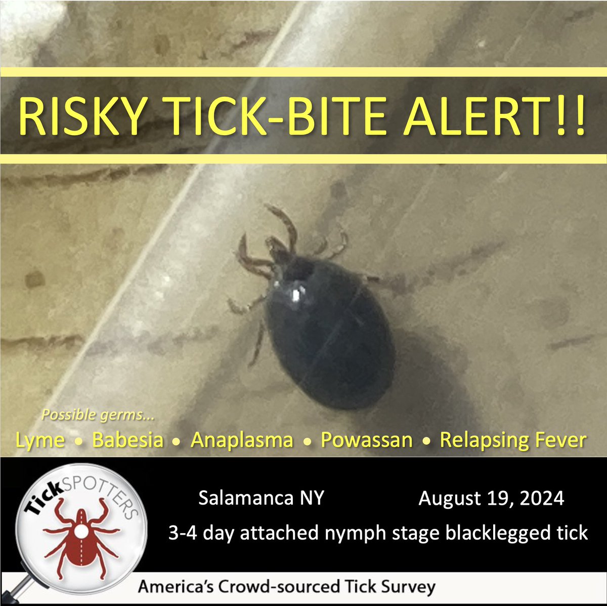 These  ticks are still biting, late into their season this year, so continue being vigilant with wearing permethrin-treated  clothing and tucking in pants and shirttails. And doing a  quick scan of common attachment points every day. Check this out-bit.ly/tickcheck1