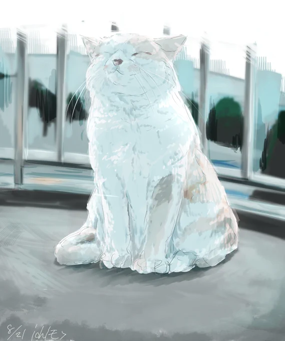 もしゃも