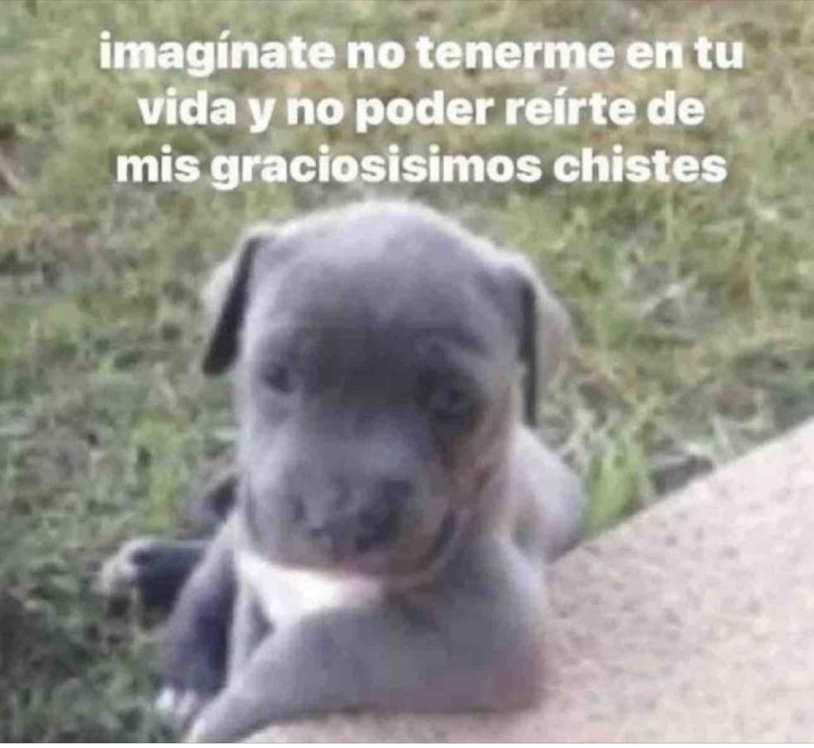 Alteregopipe tweet media