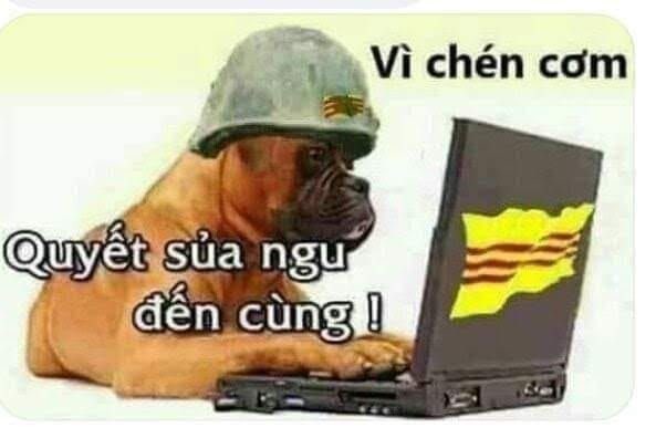 Congnguyen_eth's tweet photo. @DuyBnh864012 https://t.co/I5sWEdOrwa