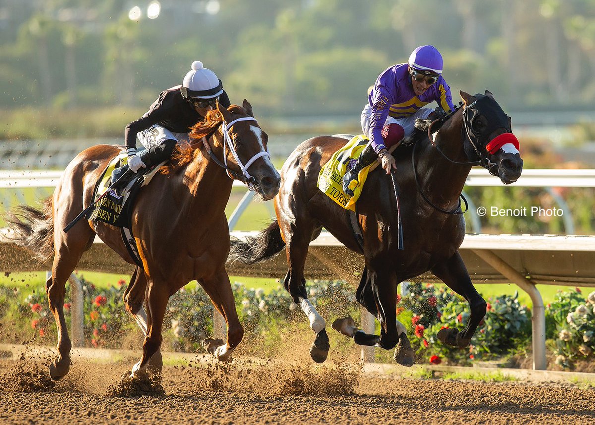 Benoit Photo tweet media