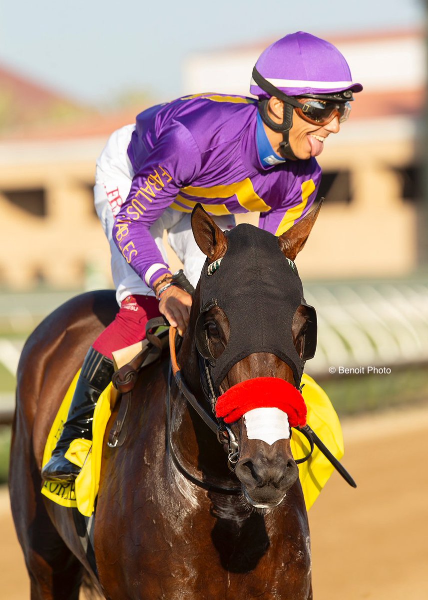 Benoit Photo tweet media