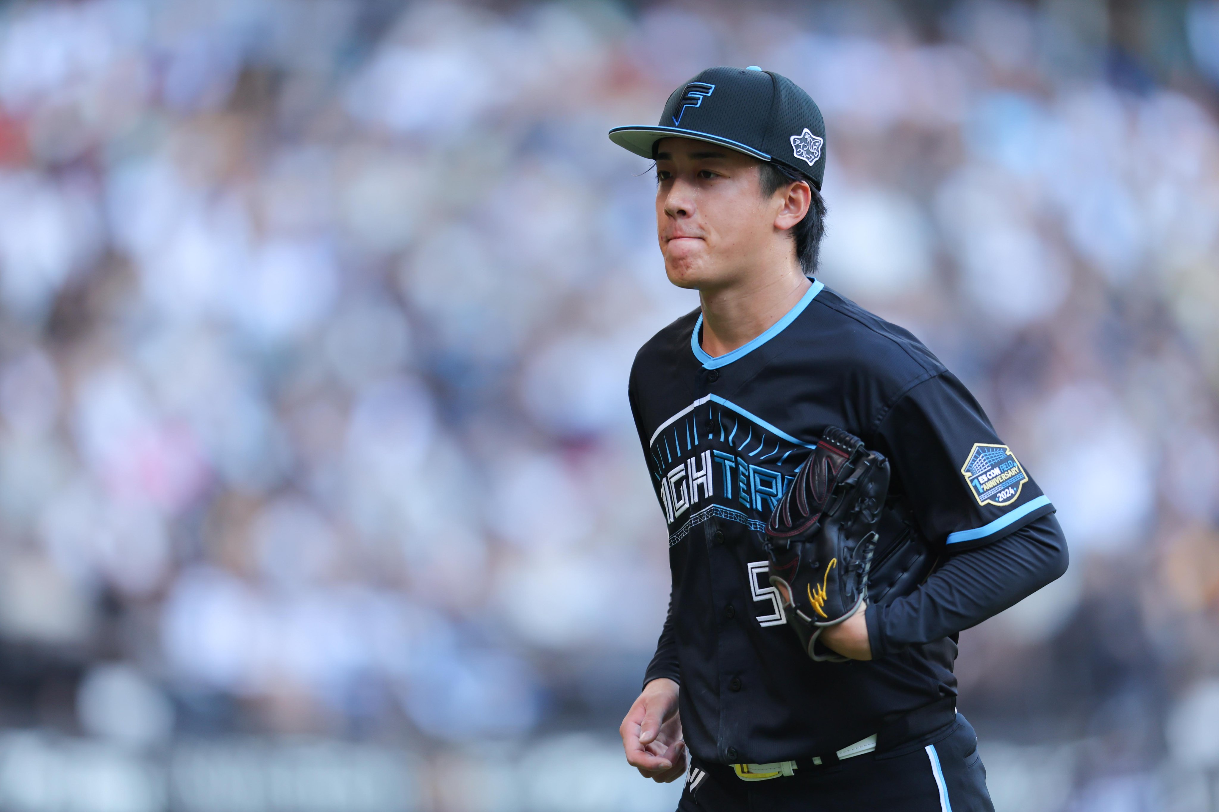 本革 サイズXO 横浜ベイスターズ スタジアムジャンパー 本革 サイズXO 横浜ベイスターズ スタジアムジャンパー