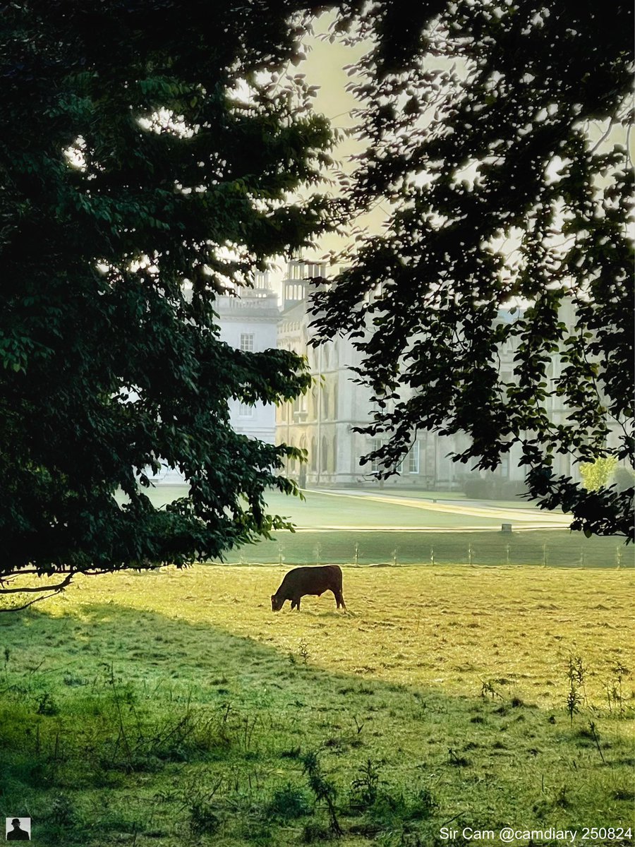 Cambridge on #SundayMorning 25 August 2024.