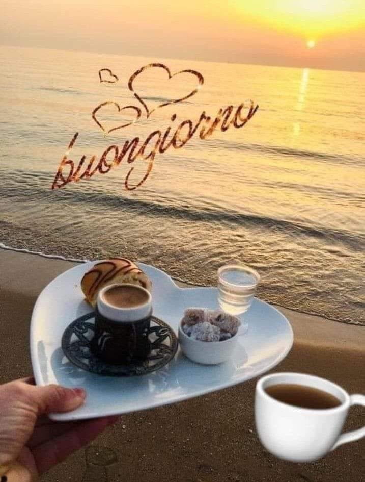 RITABIANCHi56 tweet media