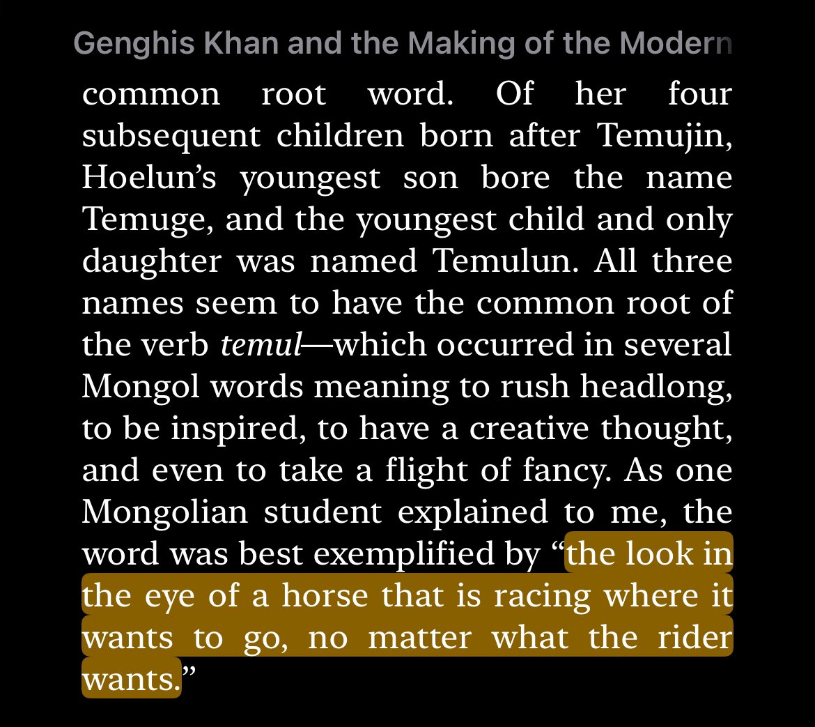 Temul, the Mongolian word for “rush[ing] headlong, to be inspired, to have a creative thought… to take a flight of fancy… best exemplified by ‘the look in the eye of a horse that is racing where it wants to go, no matter what the rider wants.’”