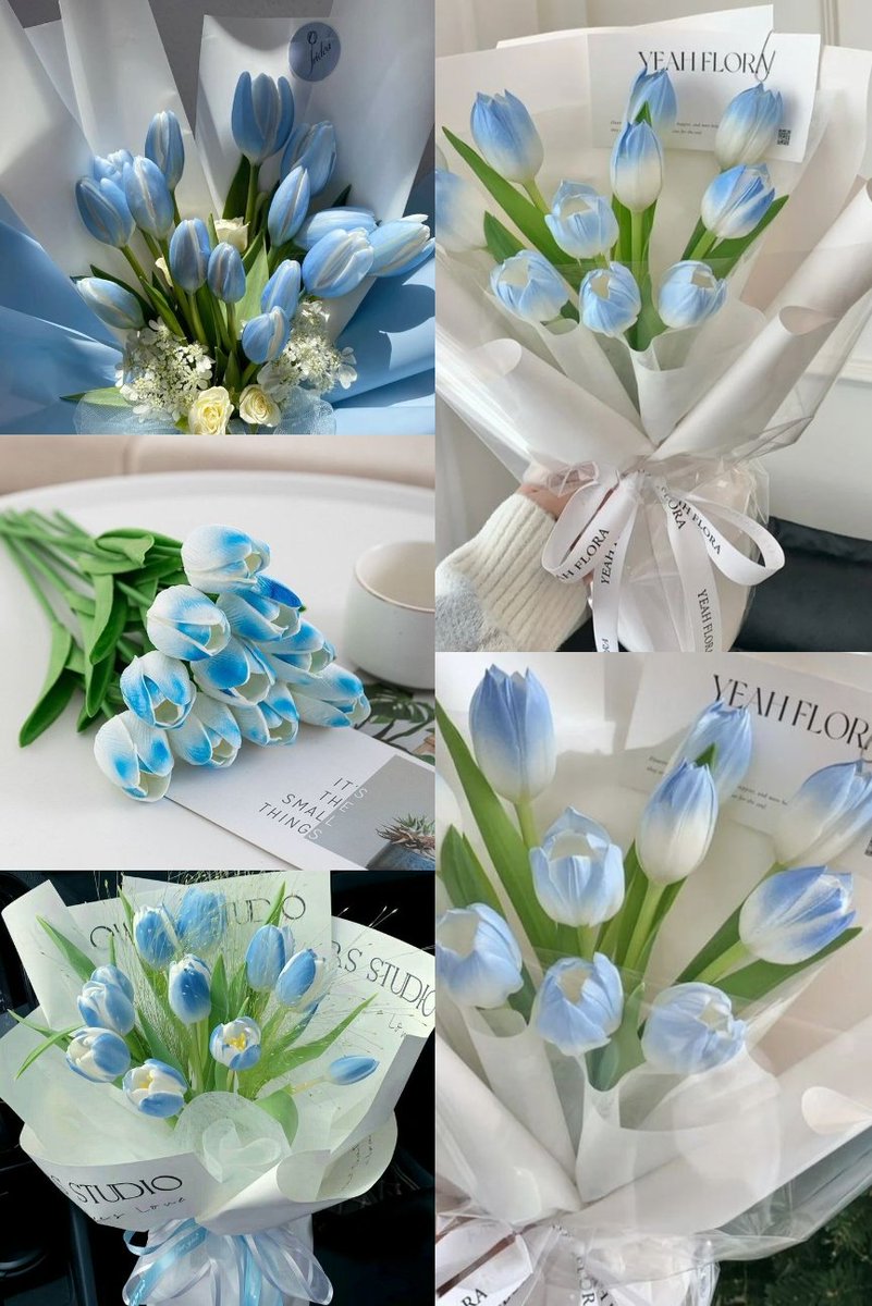 Sky blue tulips