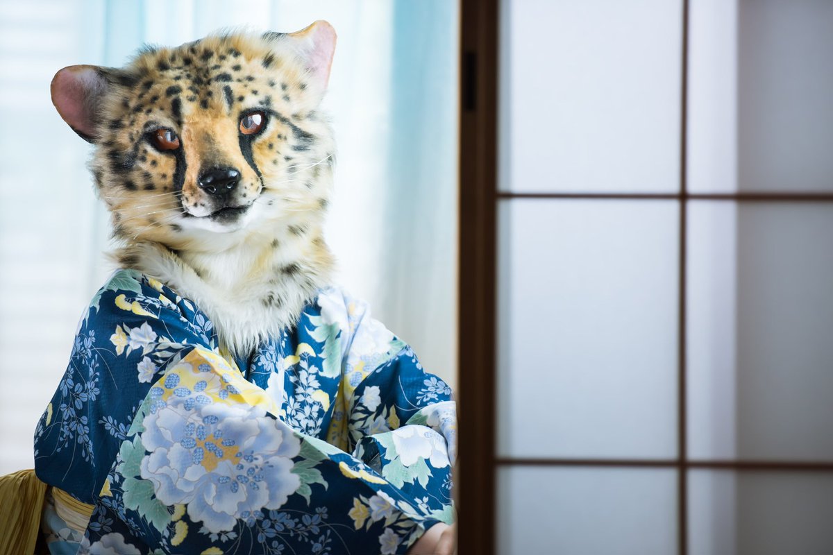 Elleth_jp's tweet photo. elle

#elleth
#kemono
#artPhoto
#portrait
#japaneseperformer
#jmof
#jfpc
#fursuit
#furry https://t.co/daHOA7hVRh