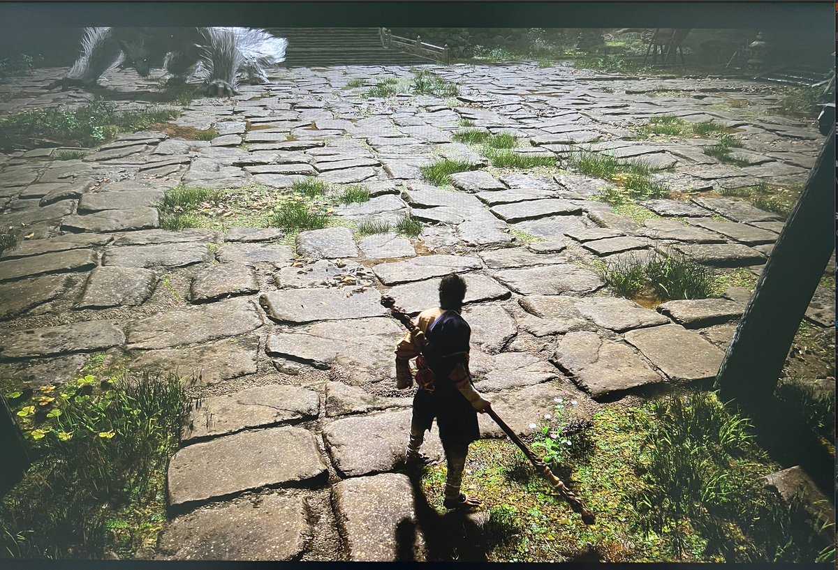 QinElke's tweet photo. Been playing *Black Myth: Wukong* lately, and wow, getting lost without a map is rough! Anyone else feel like a map is a must in this game? It would make exploring so much easier! 🗺️ #BlackMythWukong #GamerLife #LostInTheGame https://t.co/bHzGoGyBmV