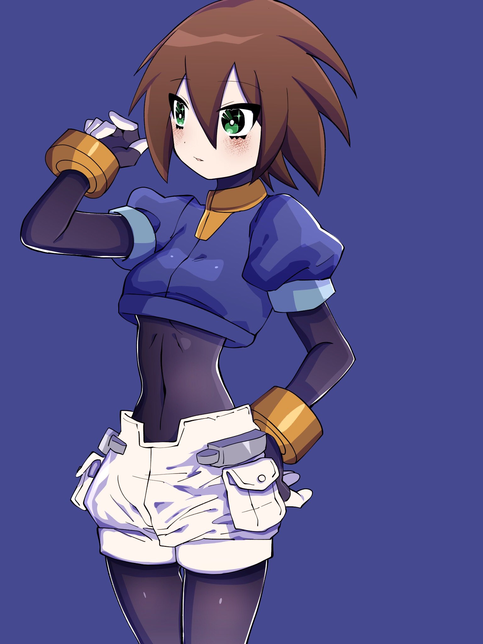 Z/X IGNITION もふもふひざ掛け 綾瀬 (キャラクターグッズ