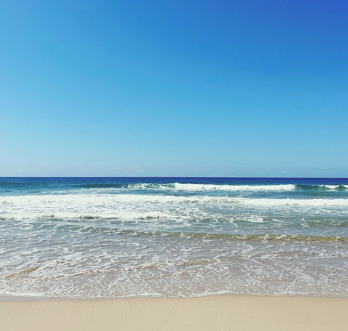 Dr Marissa Edwards tweet media