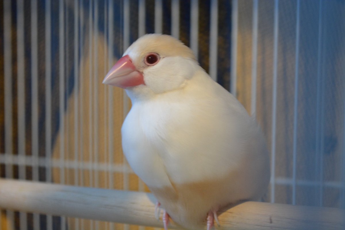 まったりな日曜日