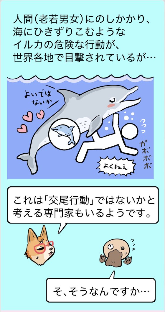 イルカ襲撃ニュース、スマホ向け #いきものニューストゥーン 版はこちら。世界観(?)的になんかこう…不穏な回になってしまった感がなくもない
https://t.co/AaMKLXVQlJ