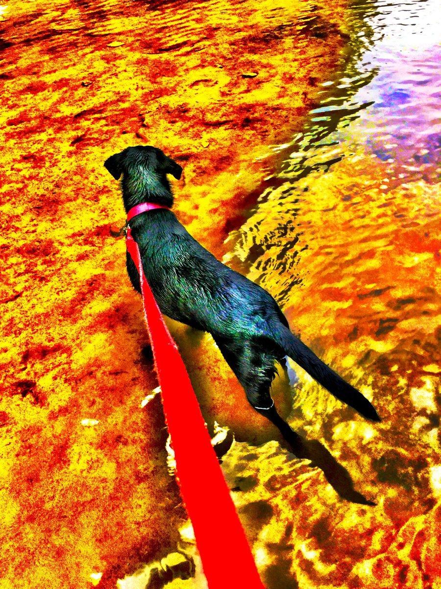 Mark Morton is querying! tweet media