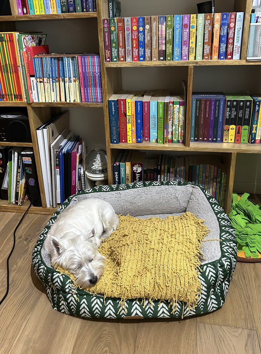 Gillian’s first out door cricket net of the season this morning and Chilli dog is absolutely stuffed. I swear she hasn’t move an inch in about 3 hours 😂🤣. Like the rest of the family stacks on the kg over winter then walks laps of the oval all weekend in summer 😊 🏏