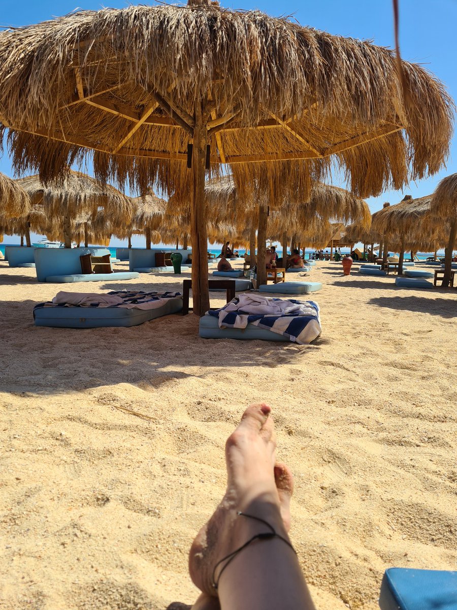 PvdA-BaarnPriscillaPatrick tweet media