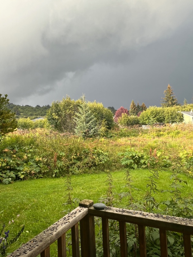 crateronmars🦉🐸 tweet media