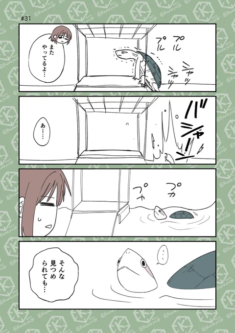 (2/4) 