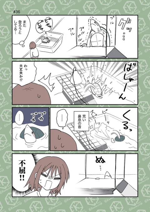 (3/4) 