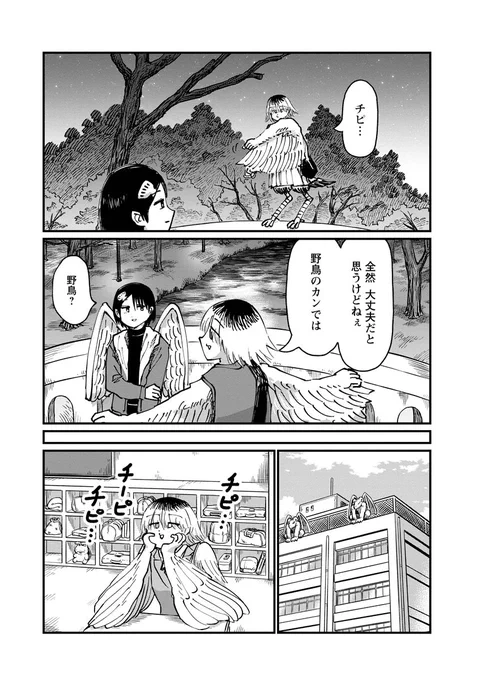 (5/9) 