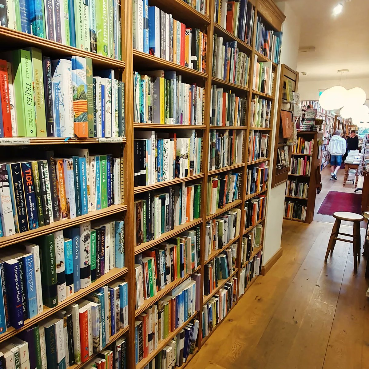 Danielle Clode Zzzzzz tweet media