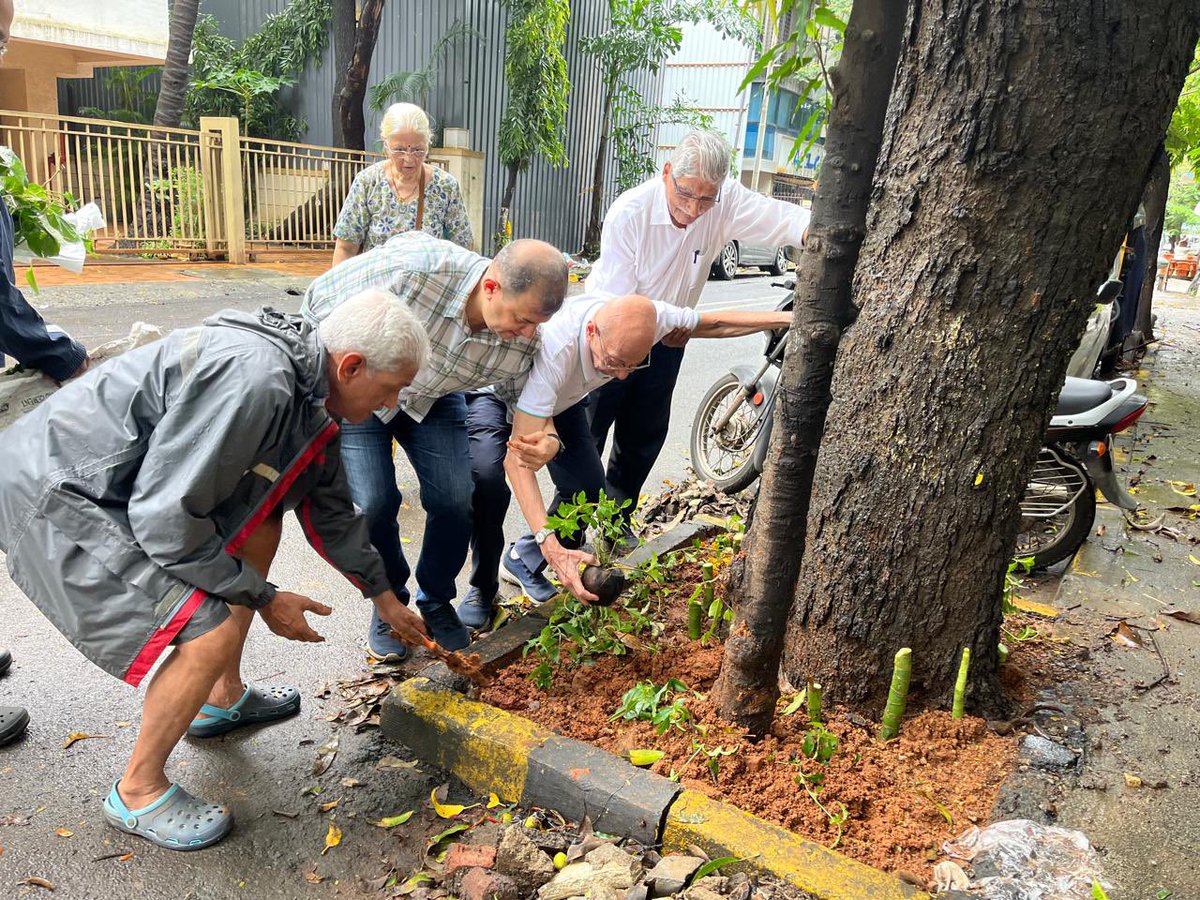 vlpvrikshamitra's tweet photo. Hanuman Rd n Mahant Rd volunteers   planted decorative plants in tree basins cleaned/prepared for the purpose by @mybmcWardKE Garden and SWM staff. Cuttings brot in by citizens. Thank all for this one step to cleaner greener Vileparle. Hope more such activities are done🙏🙏🙏 https://t.co/81nV8eeV3Z