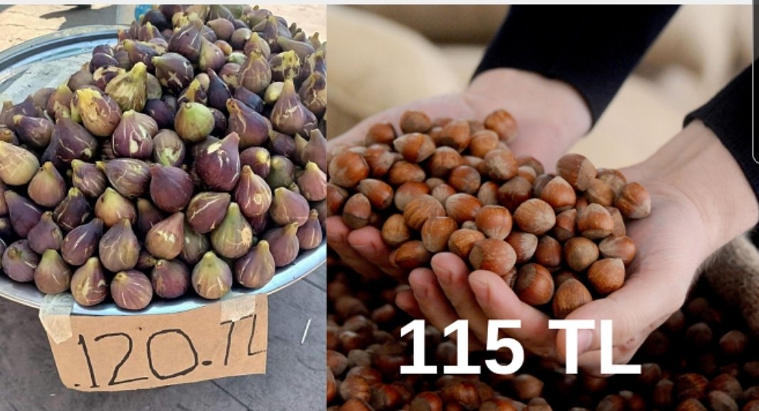 İncir 120 Fındık 115.....