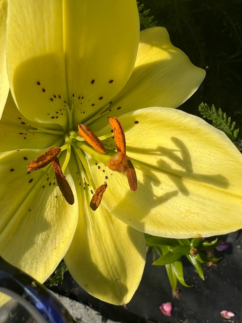 crateronmars🦉🐸 tweet media