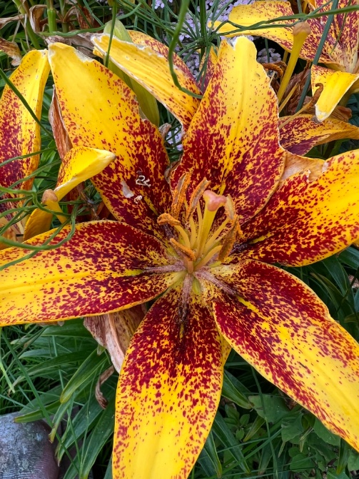 crateronmars🦉🐸 tweet media