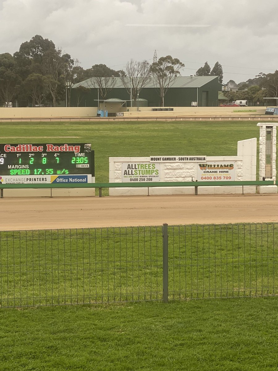 How about a rumbo at the dogs 
#tararaceway
