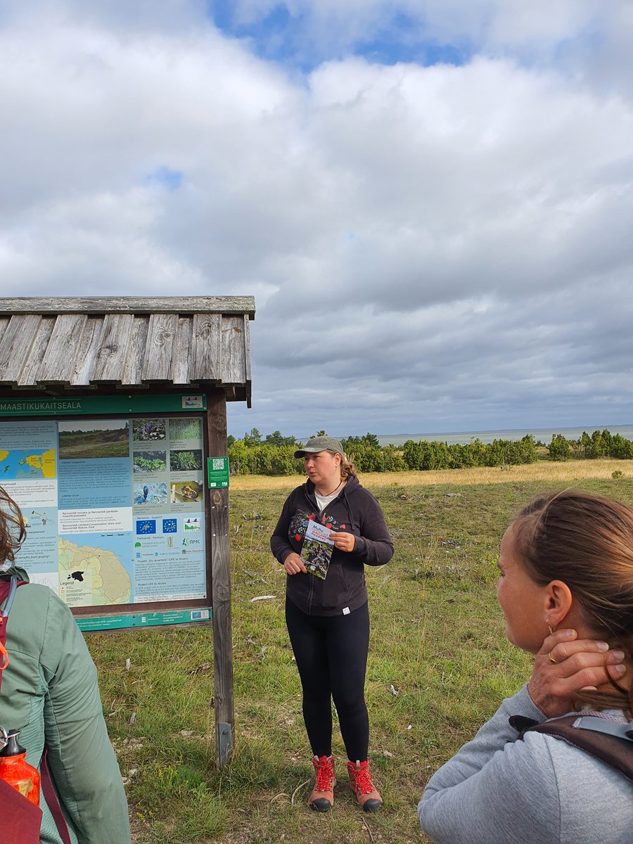 GrasslandsIrl's tweet photo. Day 2, #Estonia, @SER_Europe pre-confer fieldtrip. Visited excellent #LIFEToAlvars proj, now #LIFEConnectingMeadows. Based on #Muhu island
Inspirational work #restoring these #grasslands by removing shrubs (mostly #Juniper in this case!), working w 600 landowners
#restoration https://t.co/SHcV92SyU6
