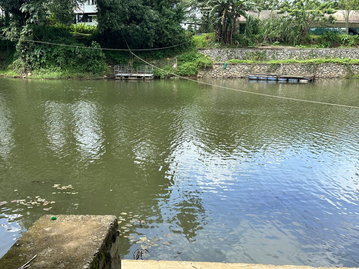 James Joseph (@pro_bharati) on Twitter photo New #jugaad at the seed farm across the river from us. Visitors to pull the rope to ring the 🔔 across the river. The pontoon bridge will come to collect visitors! <a href="/NaviRadjou/">Navi Radjou 🇮🇳🇫🇷🇺🇸</a> <a href="/JaideepPrabhu/">Jaideep Prabhu</a> New #jugaad at the seed farm across the river from us. Visitors to pull the rope to ring the 🔔 across the river. The pontoon bridge will come to collect visitors! <a href="/NaviRadjou/">Navi Radjou 🇮🇳🇫🇷🇺🇸</a> <a href="/JaideepPrabhu/">Jaideep Prabhu</a>