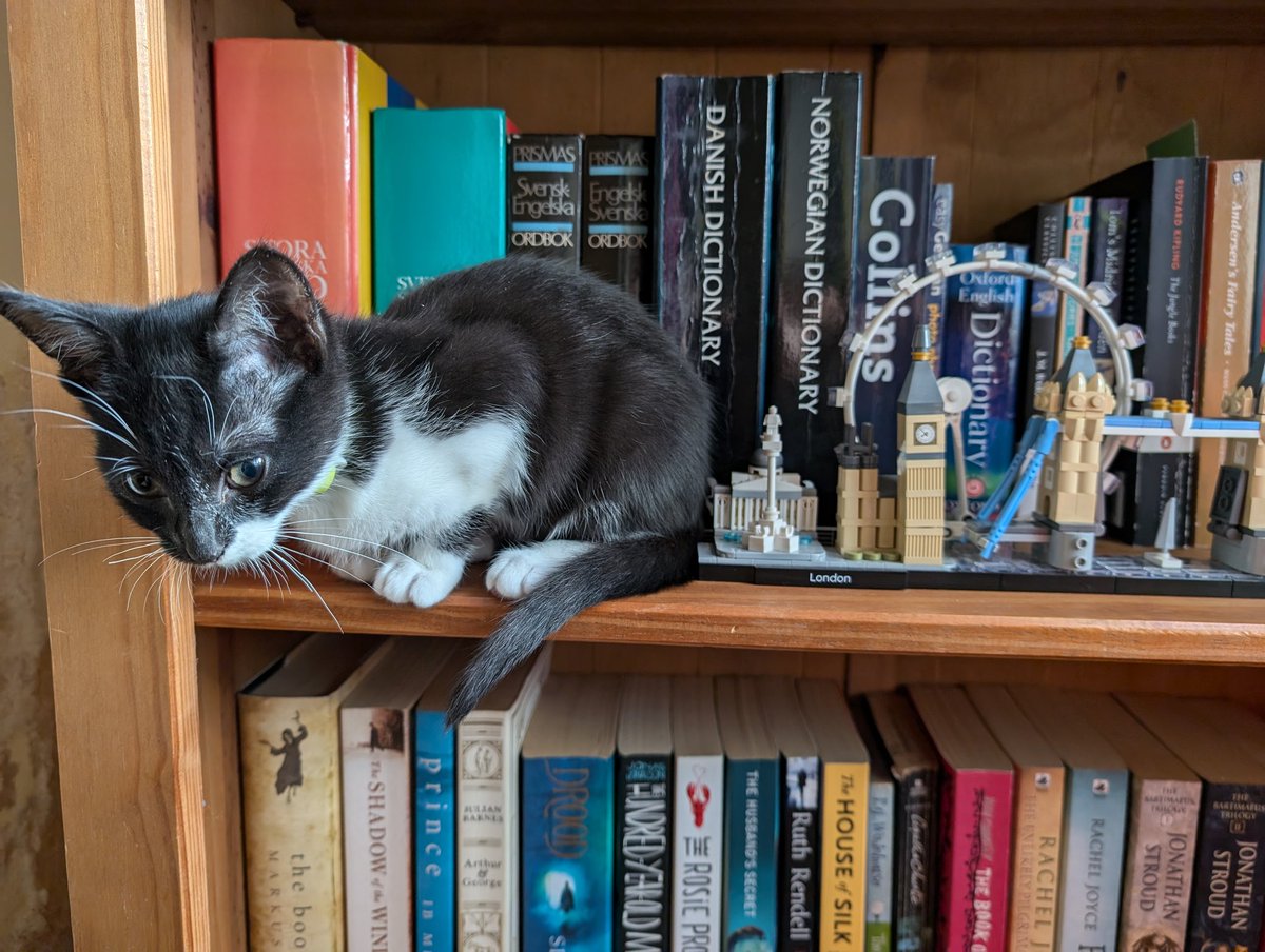 He's taking a trip to London 😅
<a href="/LEGO_Group/">LEGO</a> #CatsofTwittter