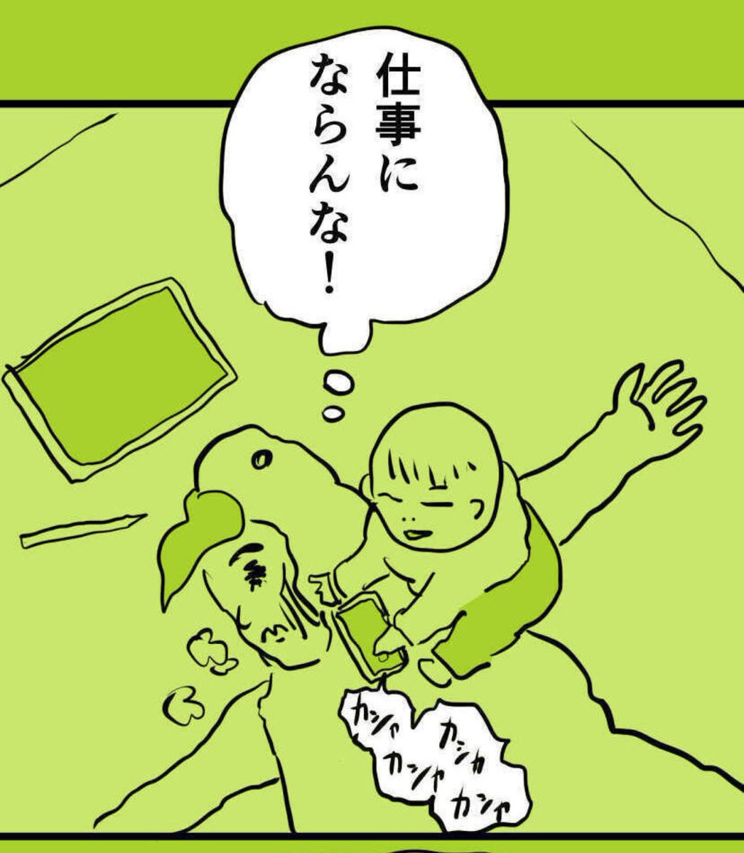 今日はこれですね