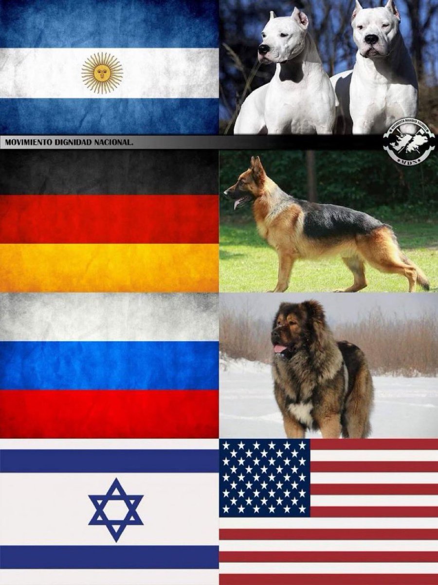 A few countries and their dogs.