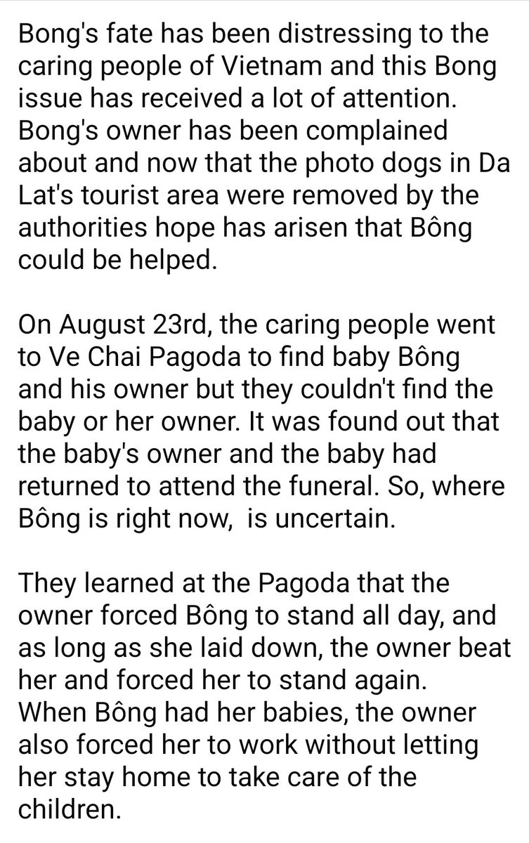 WeAreNotFood's tweet image. Baby Bông (Bé Bông), a mistreated poodle in Da La, Lam Dong, Vietnam

Forced to sit/stand on her hindlegs all day and night long 

Vietnam, it&apos;s time to enact an #animalprotectionlaw!

I will update if able. 

#helpdogpoodleDalat #helpanimals #stopanimalcruelty #stopanimalabuse