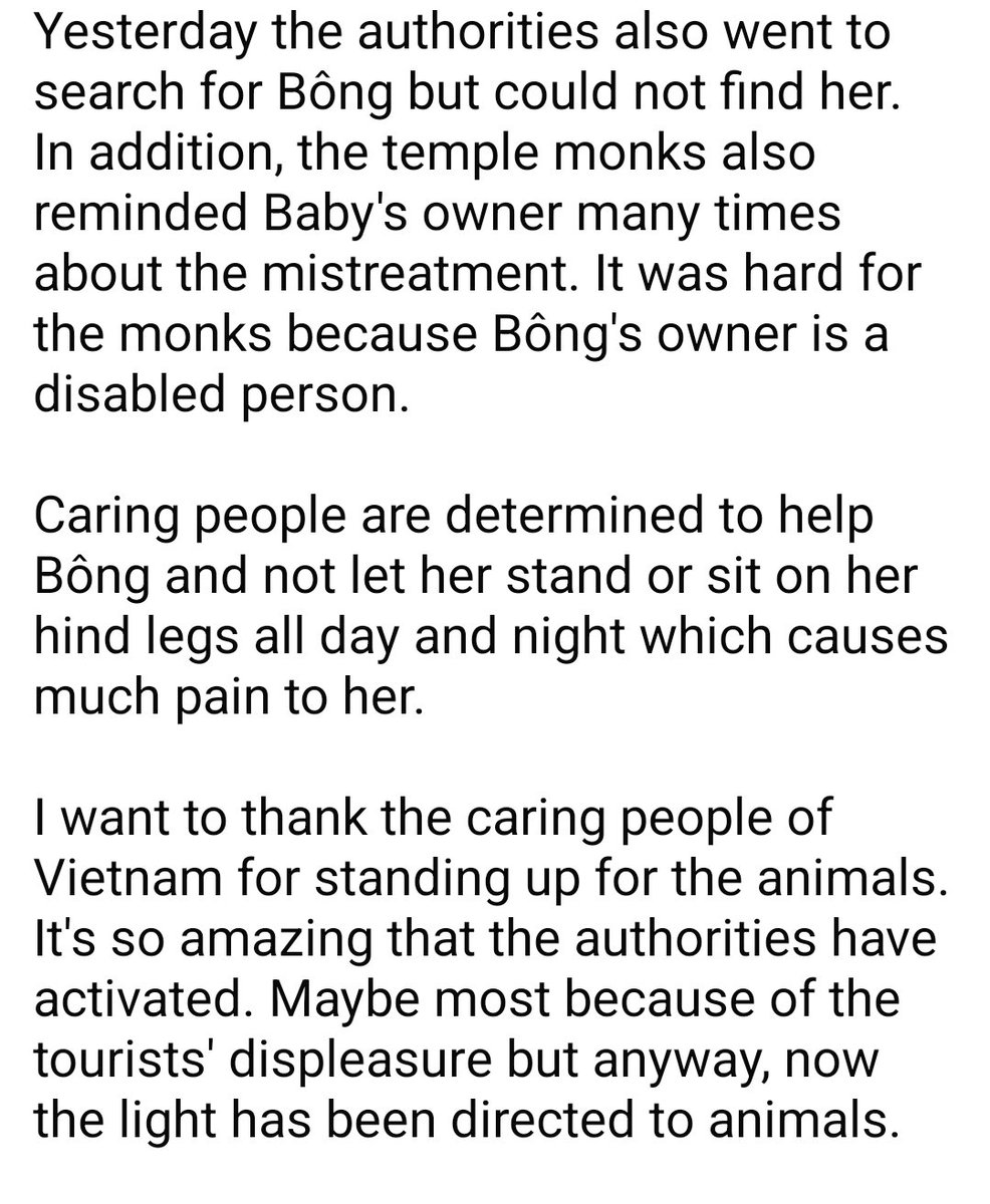 WeAreNotFood's tweet image. Baby Bông (Bé Bông), a mistreated poodle in Da La, Lam Dong, Vietnam

Forced to sit/stand on her hindlegs all day and night long 

Vietnam, it&apos;s time to enact an #animalprotectionlaw!

I will update if able. 

#helpdogpoodleDalat #helpanimals #stopanimalcruelty #stopanimalabuse