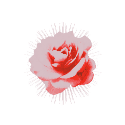 roseaubx's tweet photo. she  is  indeed  most  wondrous  fair.  gold  of  sunshine  in  her  hair.  lips  that  shame  the  red,  red  rose.  in  ageless  sleep,  she  finds  repose. https://t.co/fkdChdLpqK
