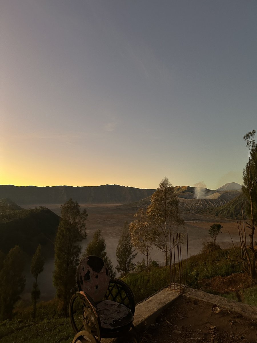 Allyra Violette | Vgen & Comms open tweet media