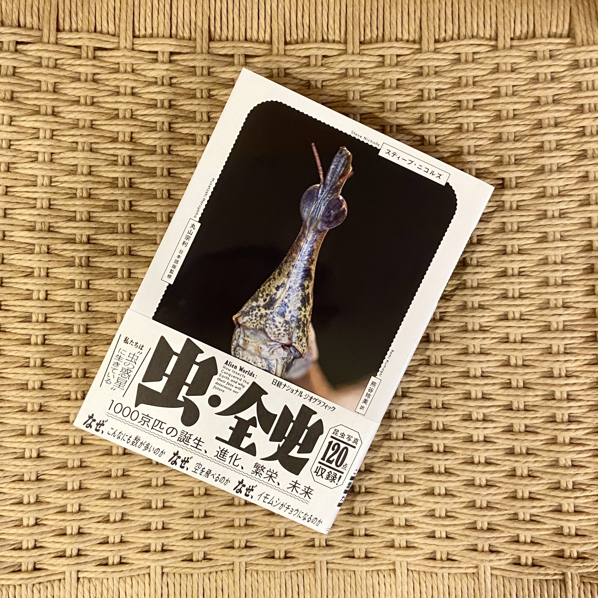 フランス産アシナカコガネセットHoplia coerulea blue