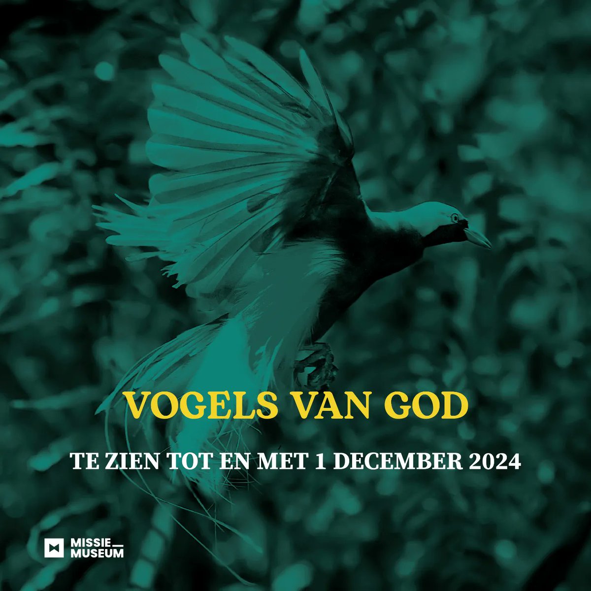 VOGELS VAN GOD. Vanaf de opening in december vorig jaar t/m juni van dit jaar kwamen er 40% meer bezoekers dan in dezelfde periode van 2023. De tentoonstelling krijgt veel publiciteit en het activiteitenprogramma trekt veel bezoekers. 

Nu te zien t/m zondag 1 december.