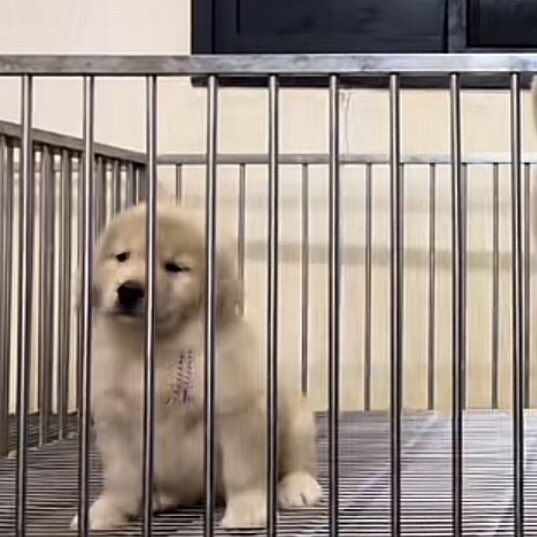 takemybear 🐶 tweet media