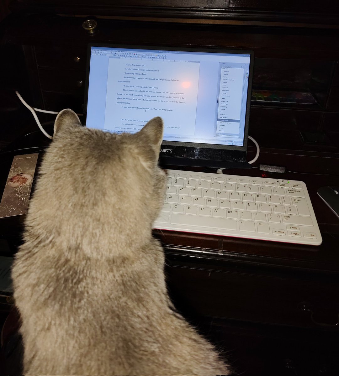 NeilMorrisWriter tweet media