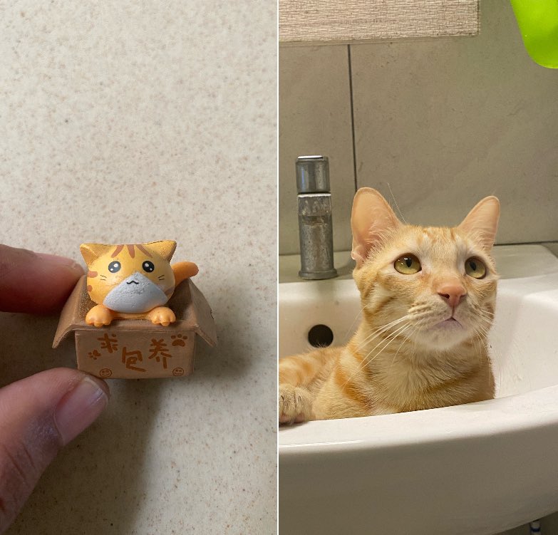 who_nisha's tweet image. Hv i shown u ppl a replica of dear #RioVersion at our home. Its this 🥹💜